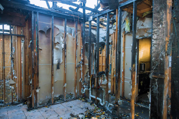 Professional Smoke Damage Removal technician working in Helmetta, NJ